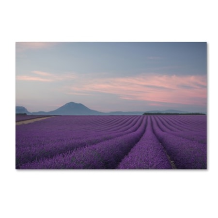 Rostovskiy Anton 'Lavender Field' Canvas Art,16x24